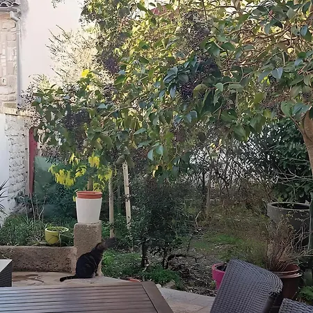 Сasa de vacaciones Les Mimosas Lecques